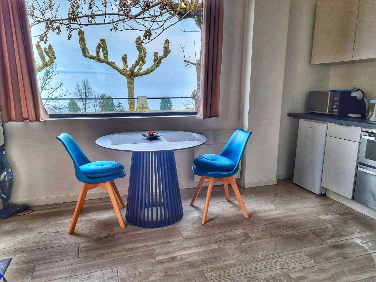 Appartement Cozy 2 Panoramique Lac Leman Thonon-Les-Bains Bagian luar foto